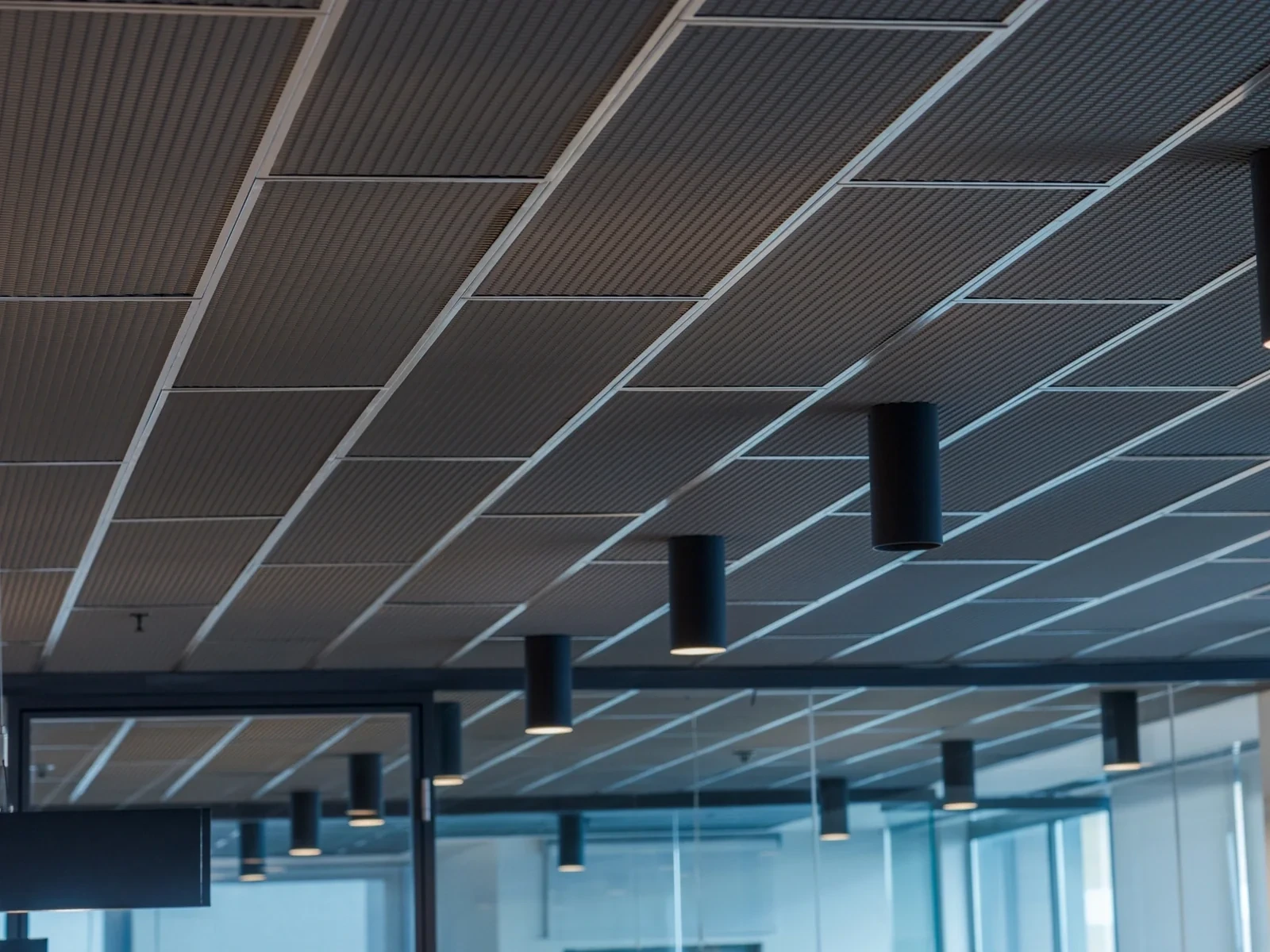 Koyu gri mesh tavan, görünen T taşıyıcılar ve silindir armatürler, cam bölmeli ofis